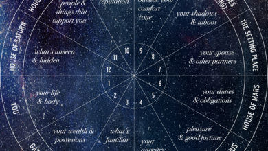 Photo of Les Maisons Astrologiques